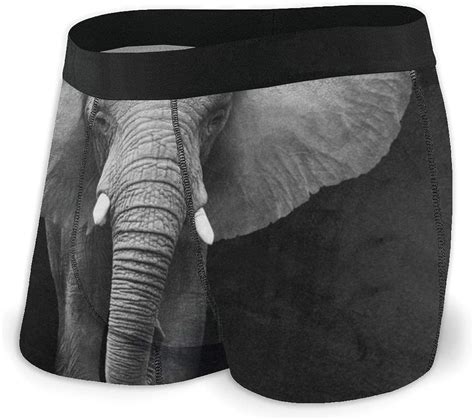 elephant underwear|Elephant Trunk Underwear .